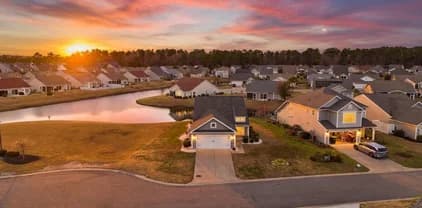 Summerlyn aerial view of the neighborhood — Goal Line Mowing lawn care in Myrtle Beach SC